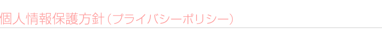 ¥×¥é¥¤¥Ð¥·¡¼¥Ý¥ê¥·¡¼